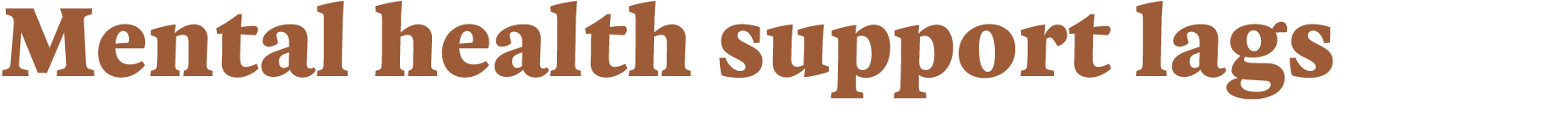 Mental health support lags