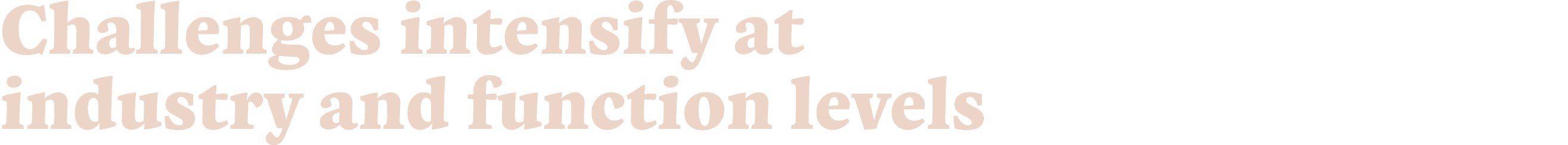 Challenges intensify at industry and function levels