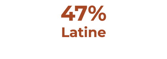47% Latine 