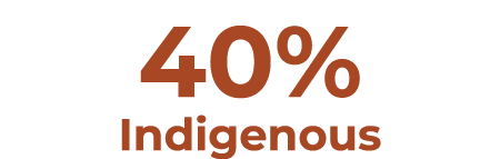 40% Indigenous