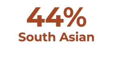 44% South Asian
