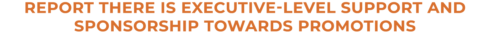 report there is executive-level support and sponsorship towards promotions
