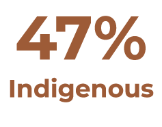 47% Indigenous