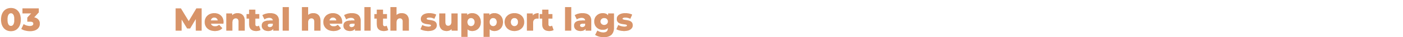 03 Mental health support lags