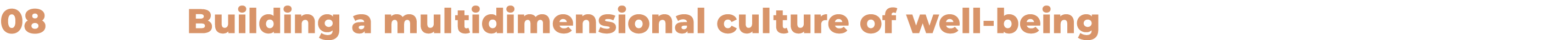 08 Building a multidimensional culture of well-being
